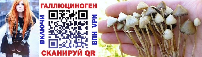 Галлюциногенные грибы прущие грибы  Таганрог 