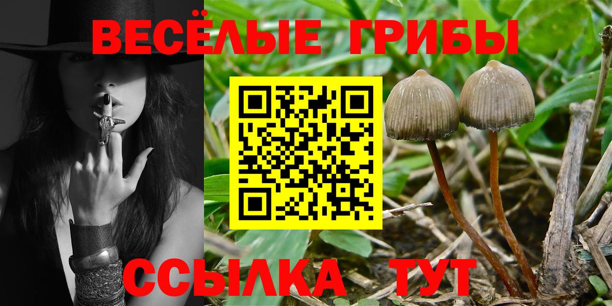 КОКАИН  Гашиш  ГАШ  Вход с VPN  A-PVP СК кристаллы  Таганрог  Экстази  Мефедрон кристаллы  Конопля 